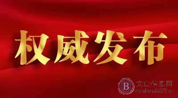 云南省中小学生武术散打锦标赛